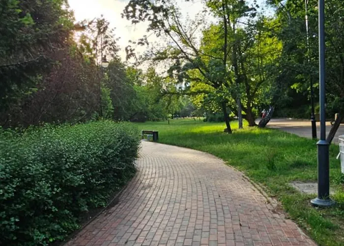 Arena Gold * Gdańsk