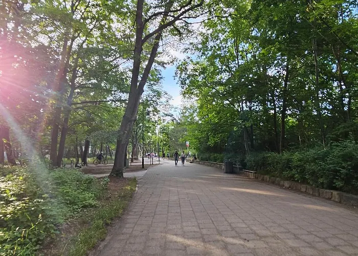 Arena Gold * Gdańsk